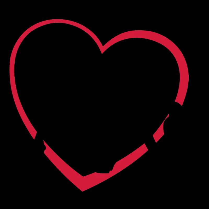 Frison Gypsy Cob ou le type de cheval avec le