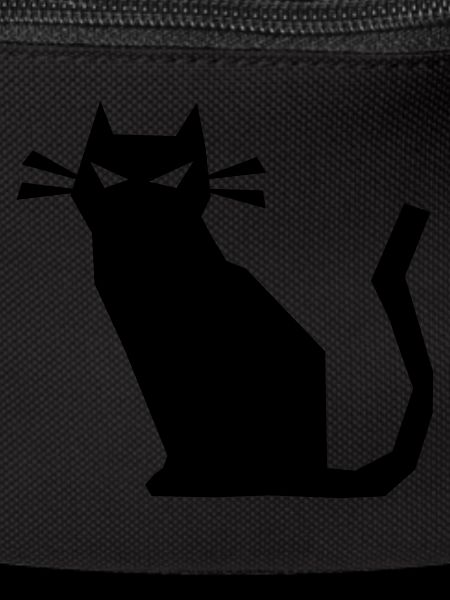 sharp cat evil