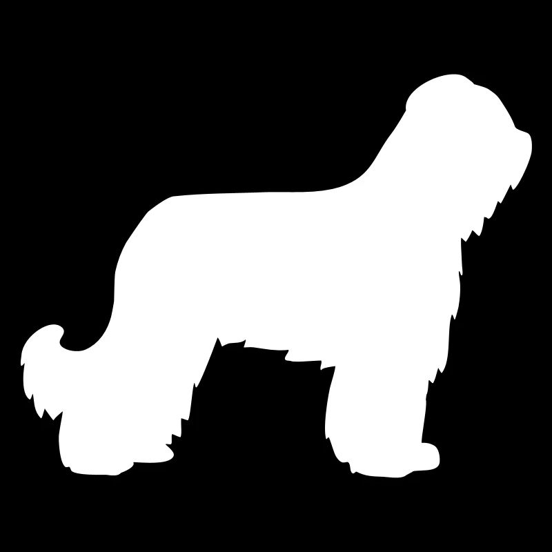 Briard