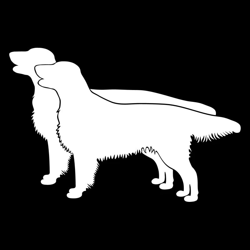 2 Flat Coated Retriever