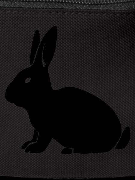 lapin 1
