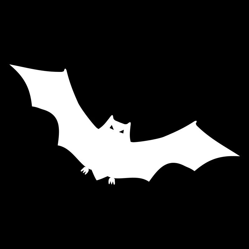 Fledermaus