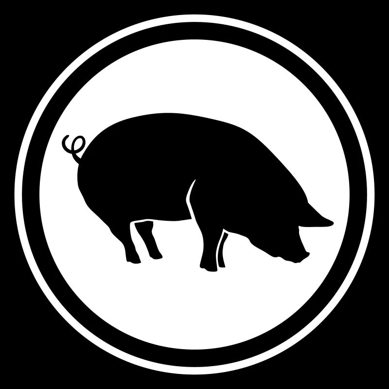 Schwein Tier