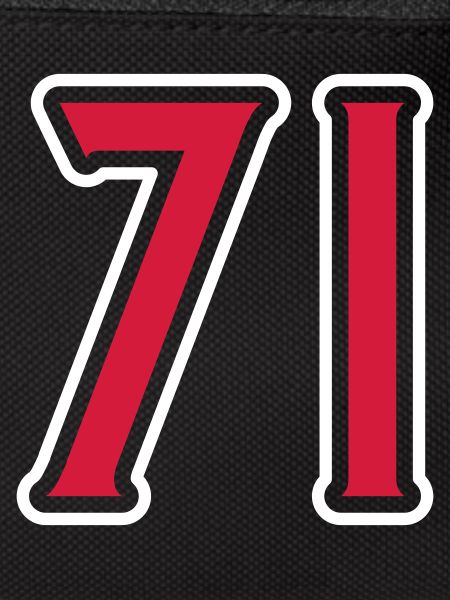 71 Number Symbol