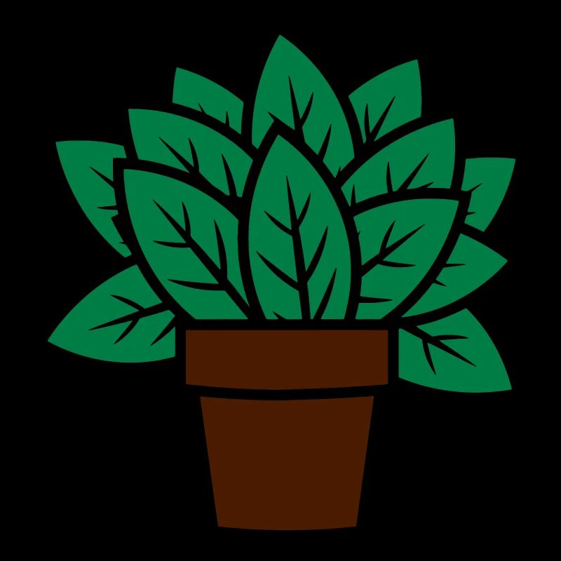 Plant gift idea plant gift idea