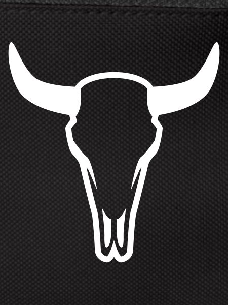 Cow Bull Skull