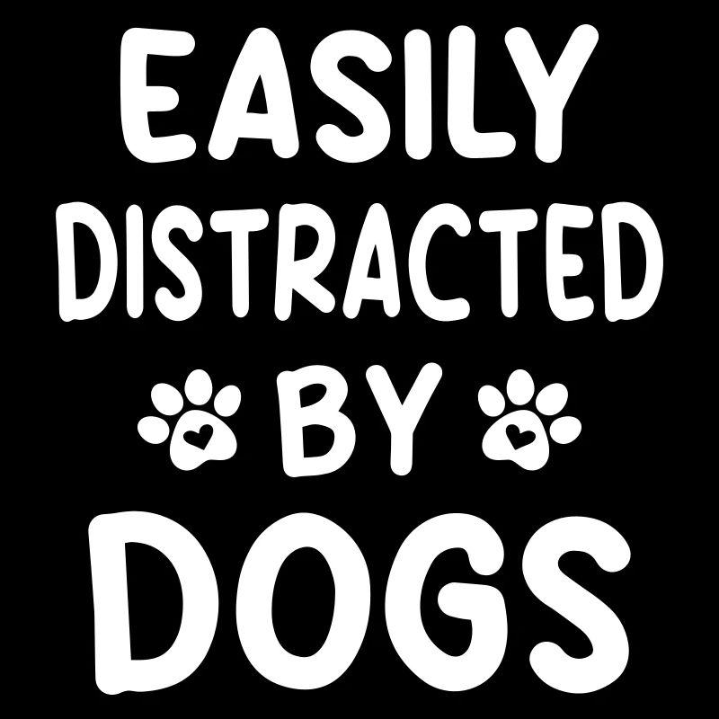 Leicht ablenkbar durch Hunde