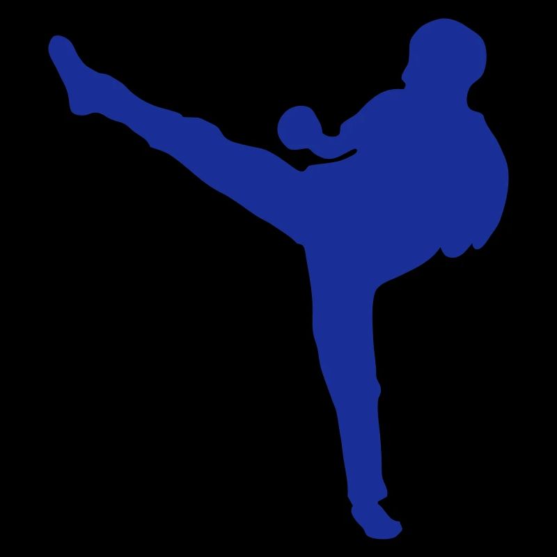 French savate boxing