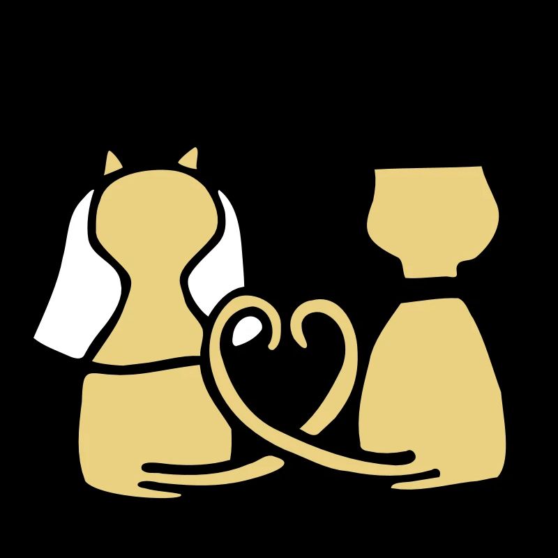 cat wedding