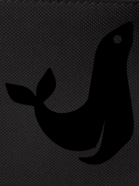 seal animal