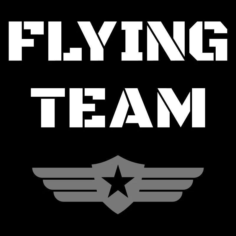 Flying team (Abzeichen, Flügel, Stern)