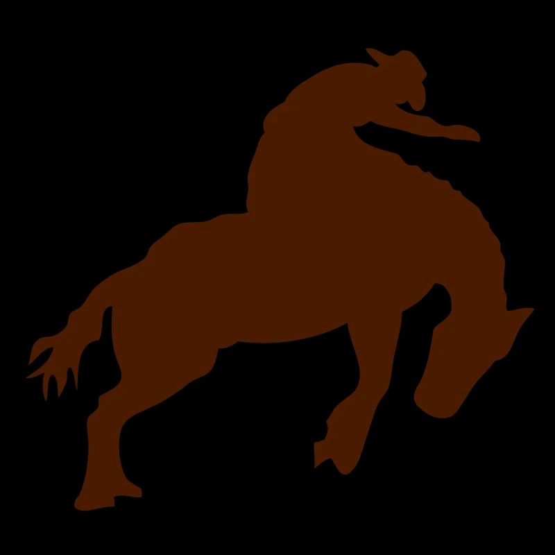 Rodeo-Cowboy-Pferd horse4