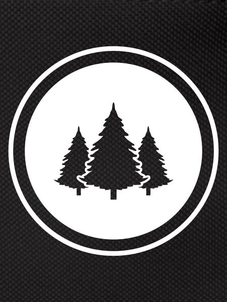 Tree Fir Forest