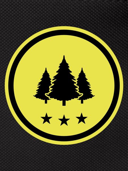 Tree Fir Forest