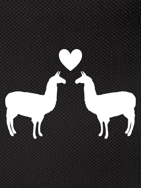 alpaca