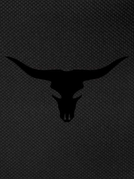 Cow Bull Skull