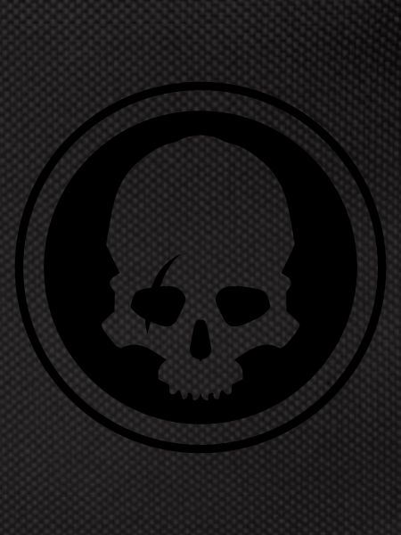 Skeleton skull