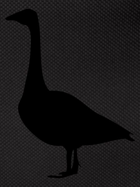 Gans