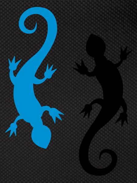salamander_2
