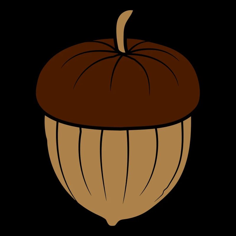 Acorn Nut Design