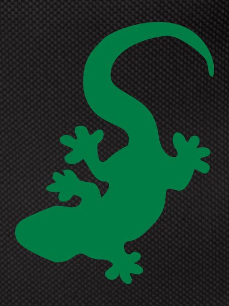 lizard