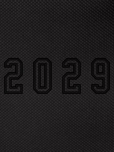 2029 Year Number