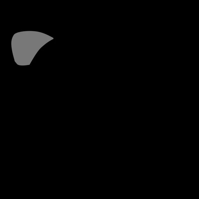Paraglider