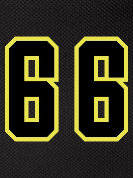66 Number Leotard