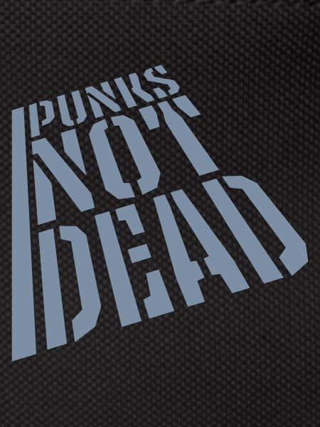 punks not dead quote