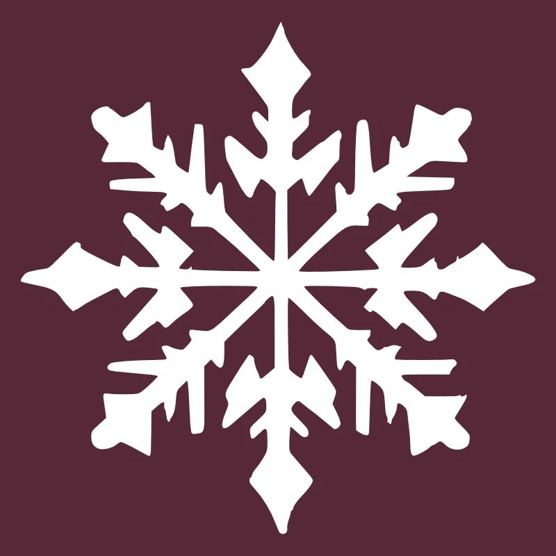 Snowflake Snow Winter Christmas Vector 9