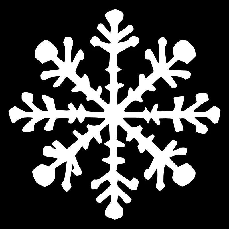 Snowflake Snow Winter Christmas Vector 12