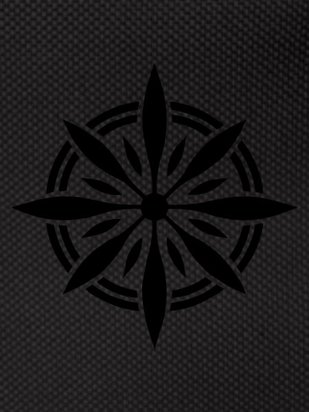 Precision Navigator: Compass