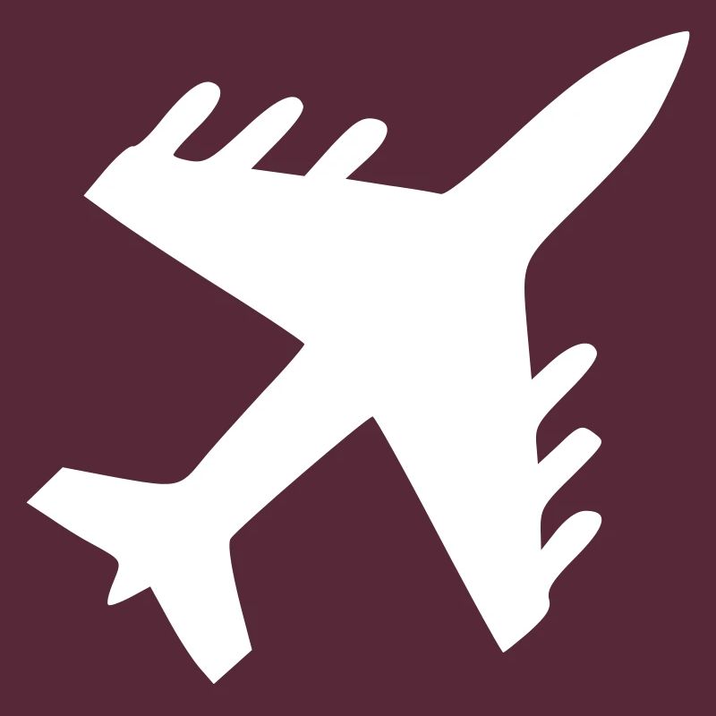 Airplane Icon Minimal Icon Vector