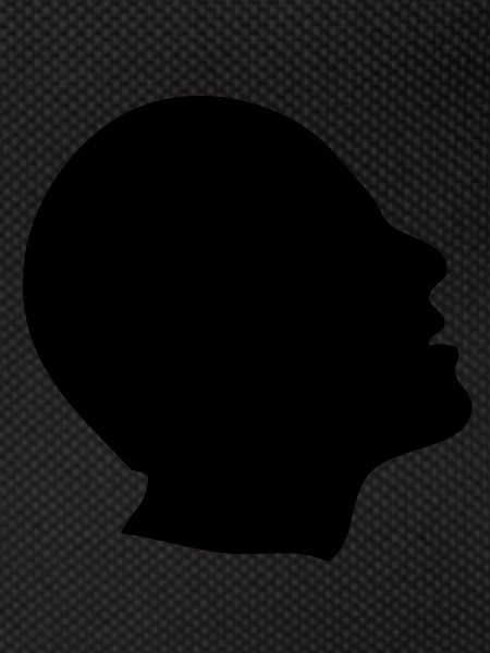 head profile head profile1