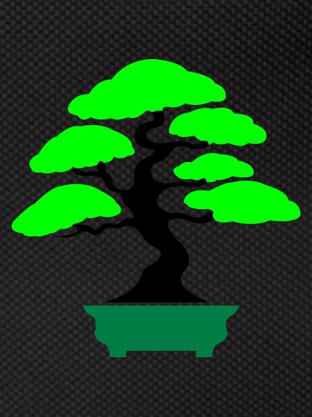 Bonsai Tree