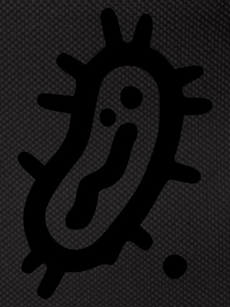 Bacteria