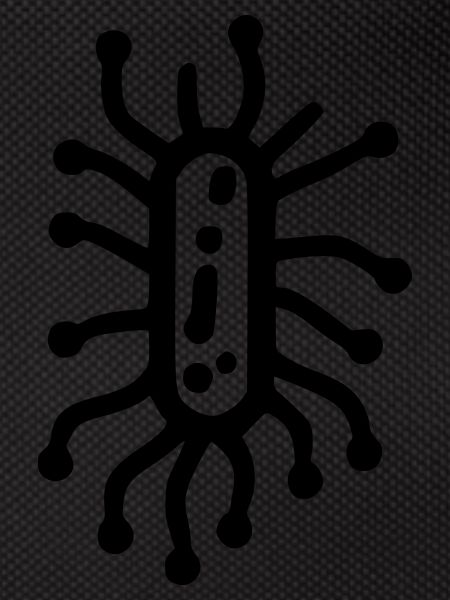 Bacteria