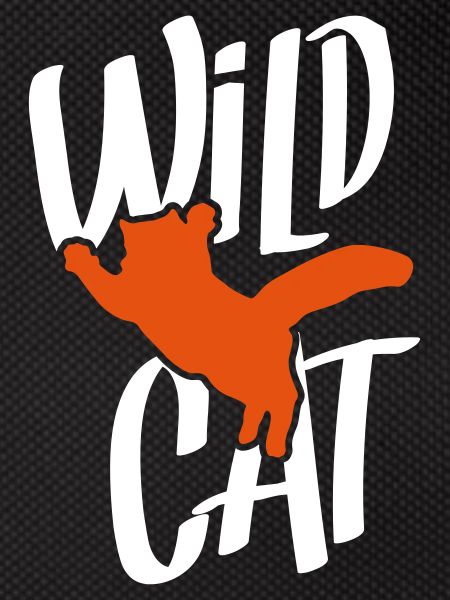 chat silhouette chat sauvage