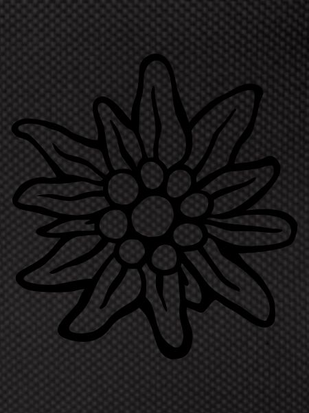 edelweiss