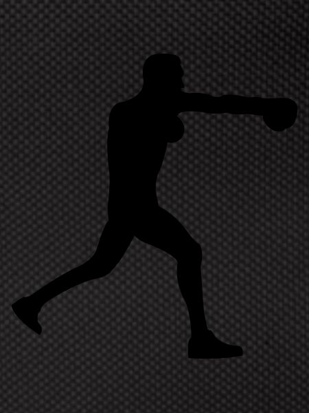 boxer