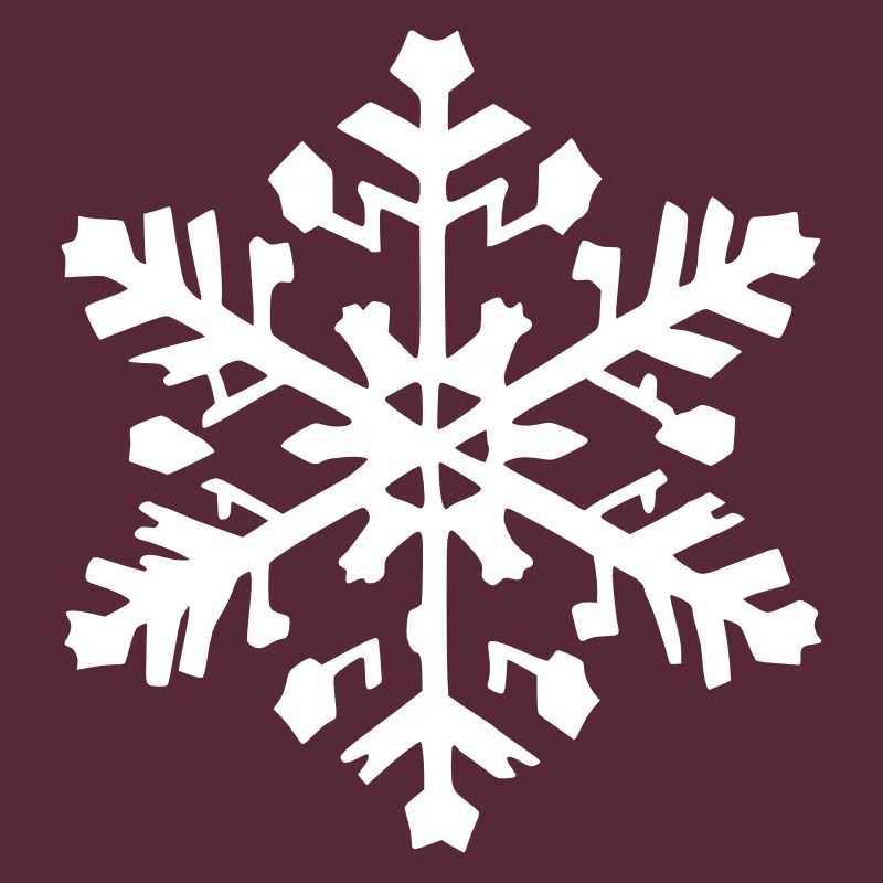 Snowflake Snow Winter Christmas Vector 10