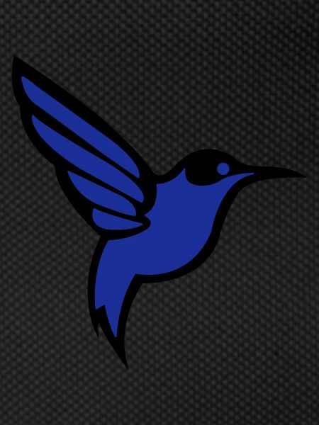 Colibri Oiseau