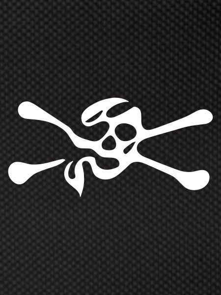 Skull with bones