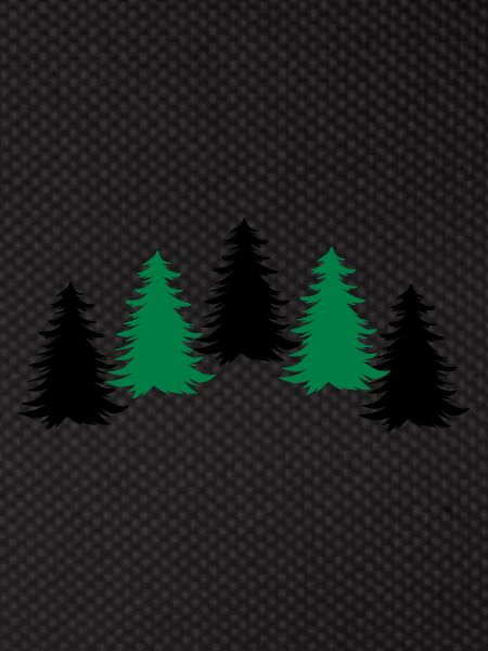 trees forest