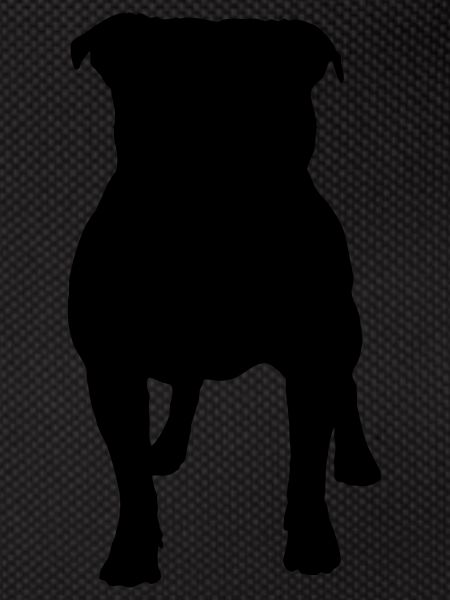 Vector dog Silhouette