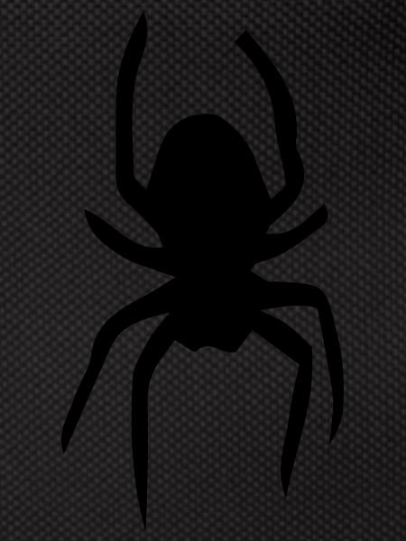 Spinne