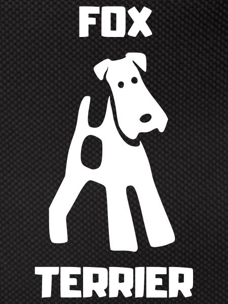Fox Terrier TERRIER