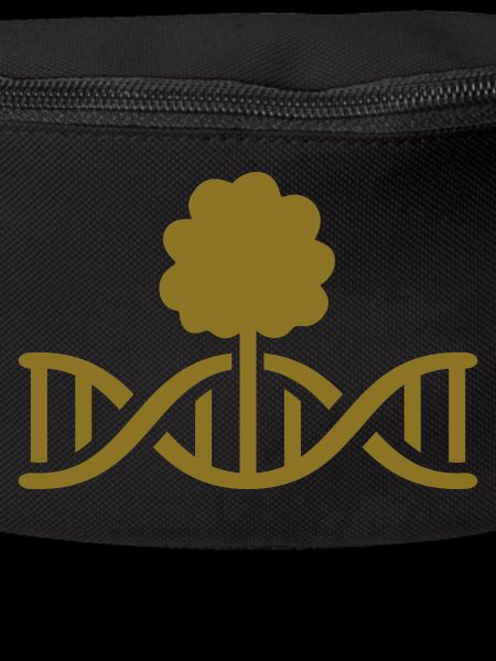 DNA Wald 2