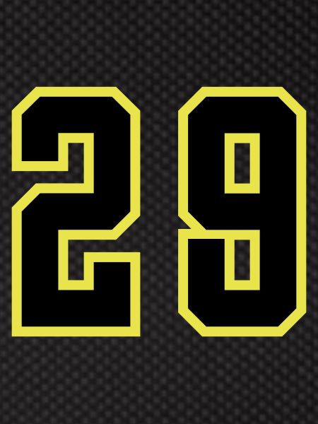 29 Number Jersey