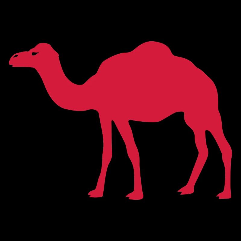 camel